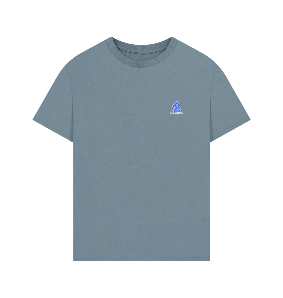 Stone Blue Printed T-shirt
