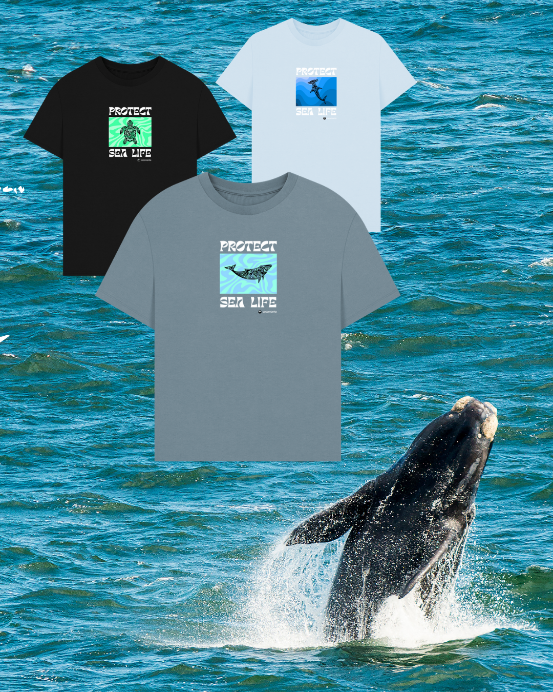 Ocean Protection Collection