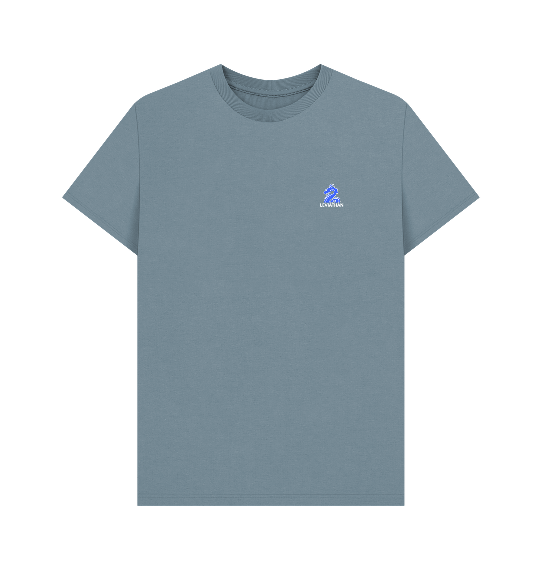 Stone Blue Printed T-shirt