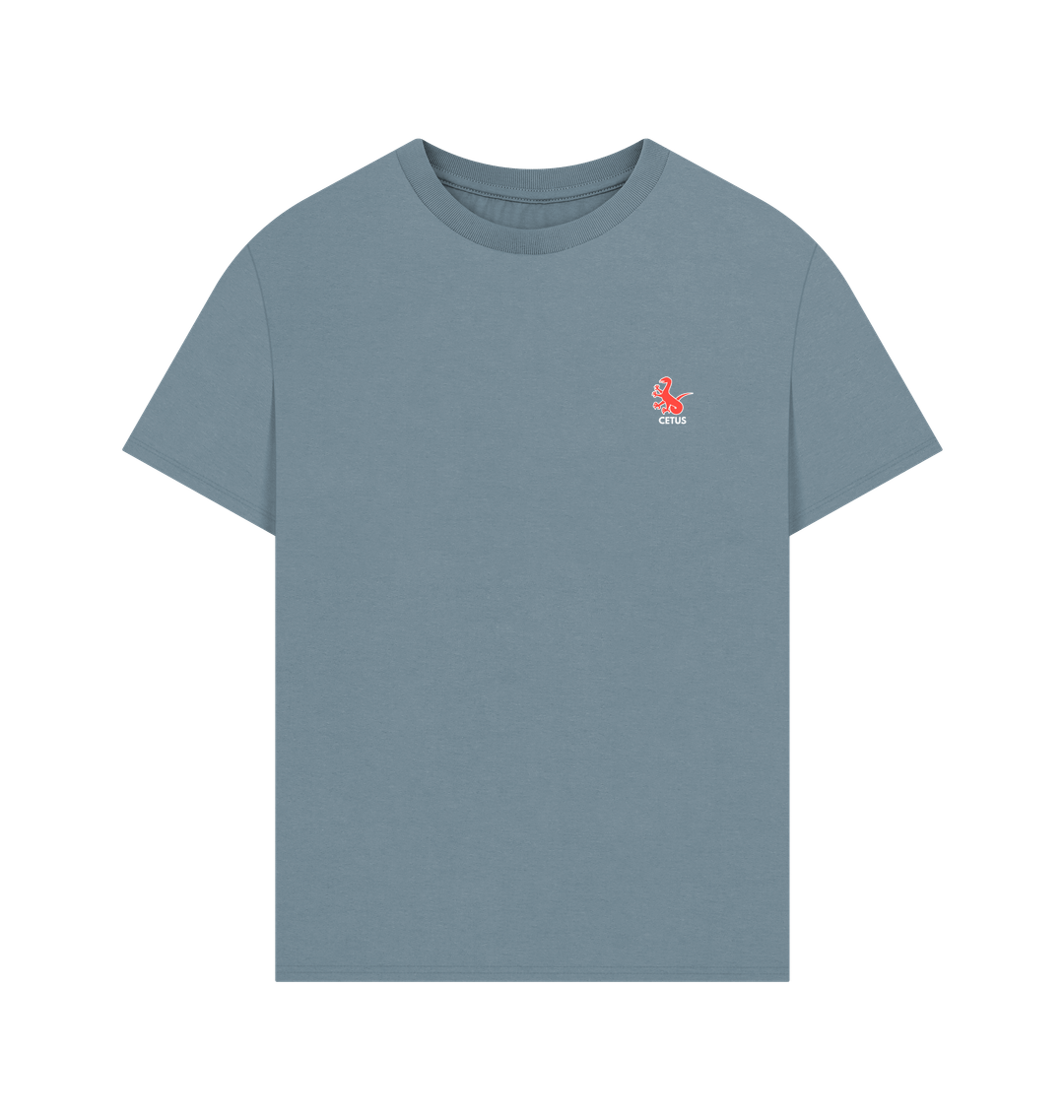 Stone Blue Printed T-shirt