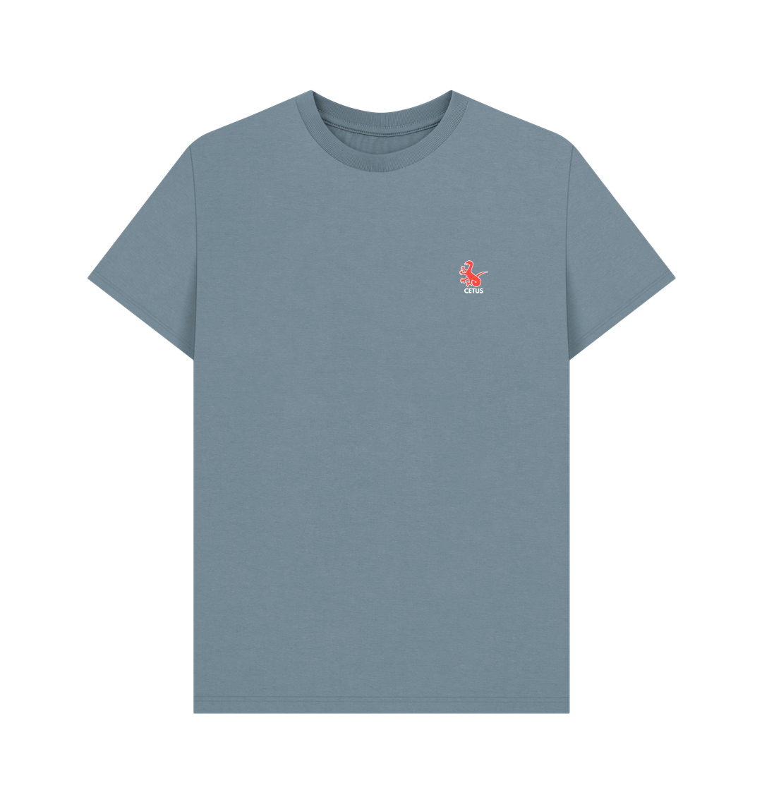Stone Blue Printed T-shirt