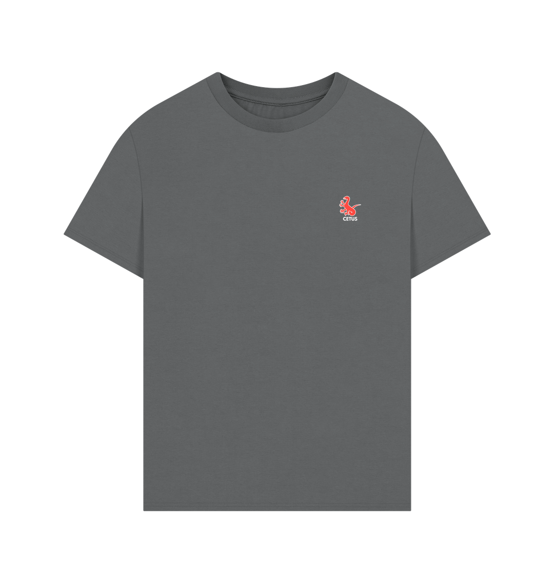 Slate Grey Printed T-shirt