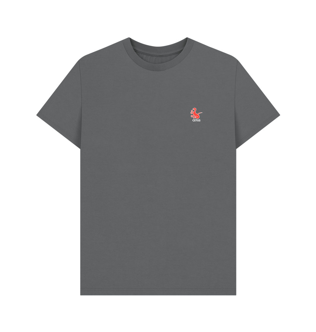 Slate Grey Printed T-shirt