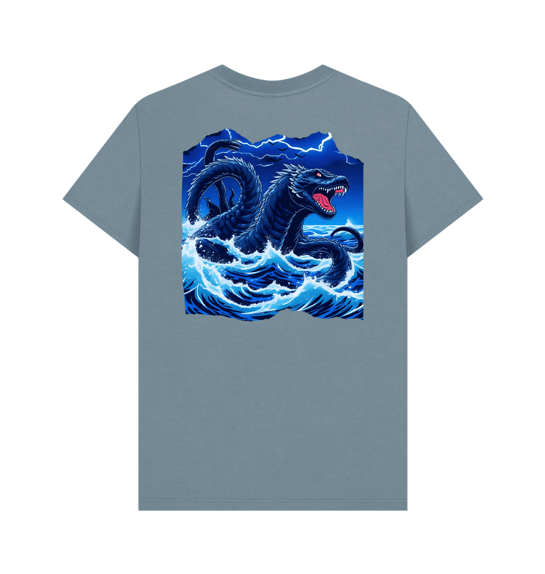 Stone Blue Printed T-shirt